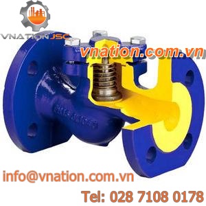 flange check valve / for water / for steam / cast iron