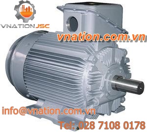 AC motor / asynchronous / explosion-proof / squirrel cage