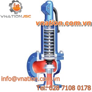 steam safety valve