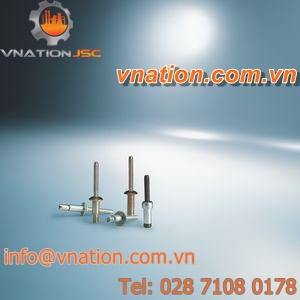 blind rivet / button head / steel / high clamping force