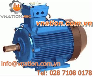 AC motor / explosion-proof / for marine applications / IE3
