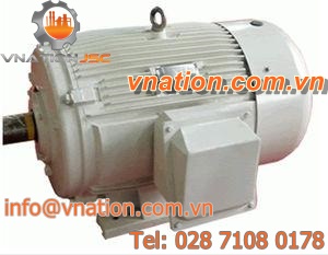 AC motor / three-phase / explosion-proof / squirrel cage