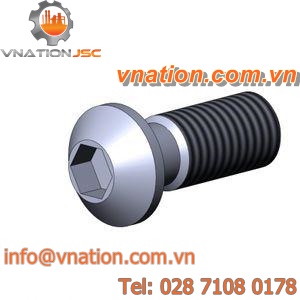 Allen screw / button head / galvanized steel