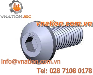 hex socket screw / button head / galvanized steel / self-tapping