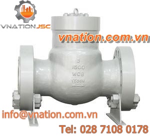 swing check valve / pressure seal