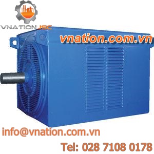 AC motor / three-phase / asynchronous / 6000V