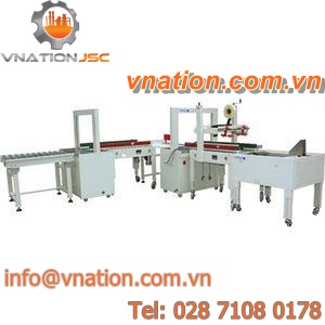 carton packing machine / automatic / with conveyor / continuous