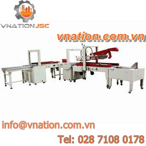carton packing machine / automatic / with conveyor