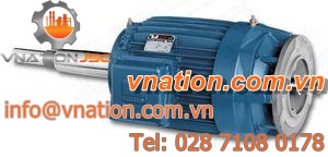 synchronous motor / 48V / variable reluctance