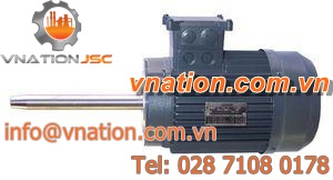 AC motor / three-phase / asynchronous / 36V