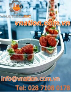 chain conveyor / for the food industry / horizontal / transport