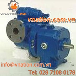 slurry pump / paint / for food products / 2-screw