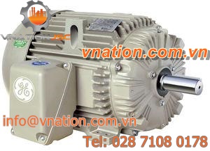 three-phase motor / induction / 230V / 460V