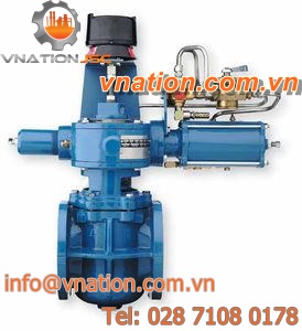 spring check valve / flange