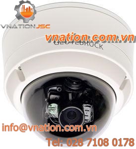CCTV camera / for night vision / black and white / CCD