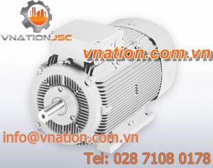 asynchronous alternator / for hydroelectric power plants / for wind turbines / low-voltage