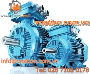 AC motor / three-phase / asynchronous / 50V