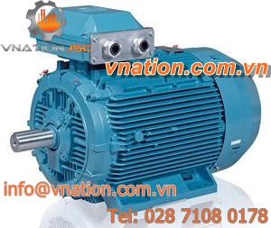 DC motor / synchronous / 220V / permanent magnet