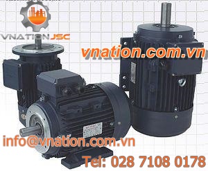 AC motor / asynchronous
