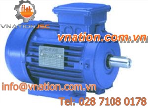 AC motor / three-phase / asynchronous / 440V