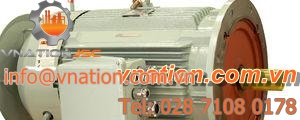 variable-speed three-phase induction motor