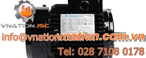 synchronous motor / 100V