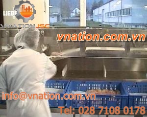 color sorter / automatic / meat / for the food industry