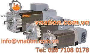 AC motor / asynchronous / 250V / squirrel cage