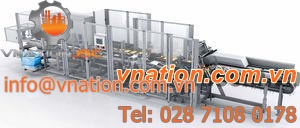 horizontal cartoner / automatic / intermittent-motion / continuous-motion