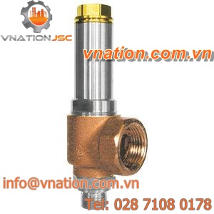 bronze safety valve / threaded