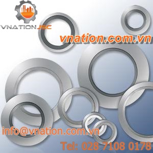 flat seal / ring lip / PTFE / metal