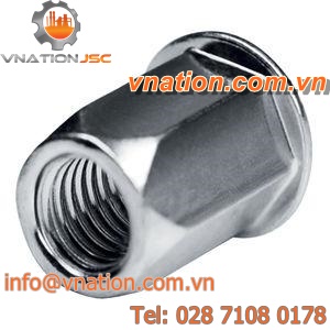 hexagonal nut / blind rivet / zinc-plated steel / flat-head