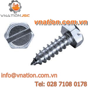 slotted screw / with hexagonal head / stainless steel / self-tapping
