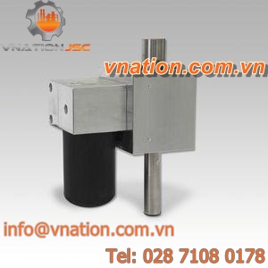 DC gear-motor / custom