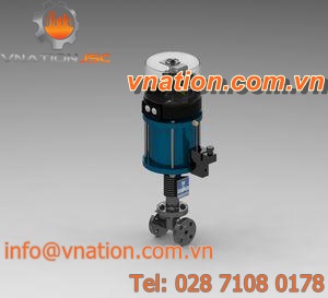 spring safety valve / for steam