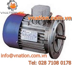AC electric brake motor / three-phase / asynchronous / 100V