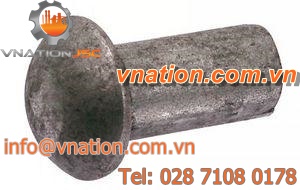 standard rivet / button head / stainless steel