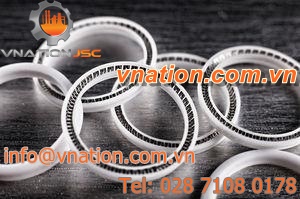 circular seal / ring lip / PTFE