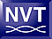 Network Video Technologies