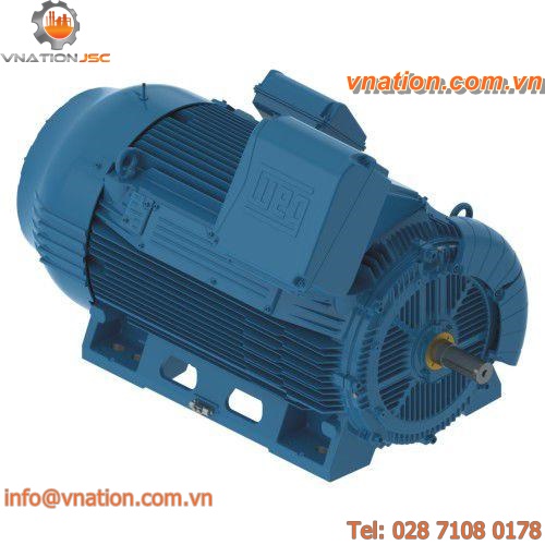 AC motor / three-phase / asynchronous / 110V