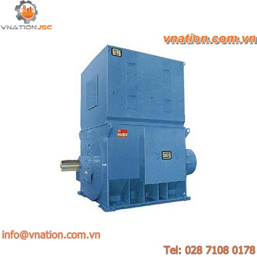synchronous motor / 690V / constant speed / industrial