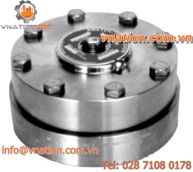 diaphragm seal with flange connection / for pressure gauges / process