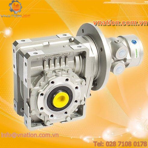 vane air motor / gear