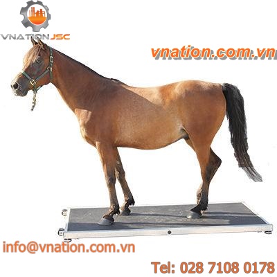 floor scales / with separate indicator / stainless steel / for animals