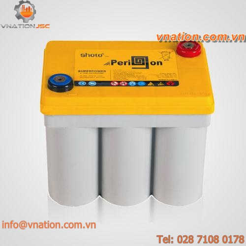 lead-acid battery / AGM / VRLA / liquid electrolyte