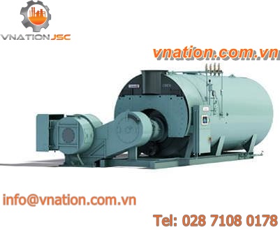 steam boiler / natural gas / fire tube / horizontal