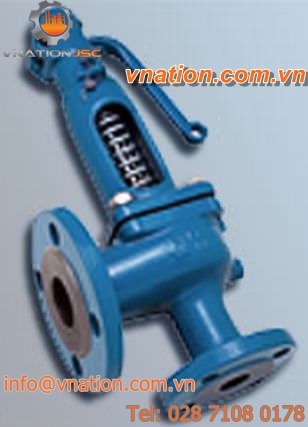 poppet safety valve