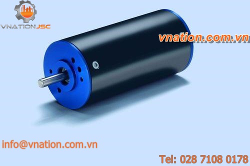 DC motor / brushless / 12V / 4-pole