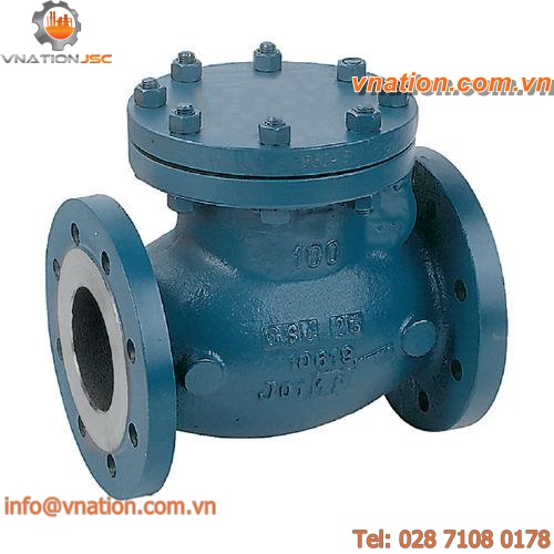 swing check valve / flange / for water / for steam