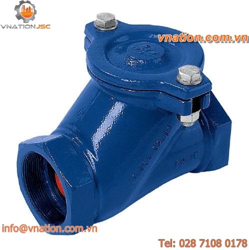 ball check valve / threaded / for water / cast iron